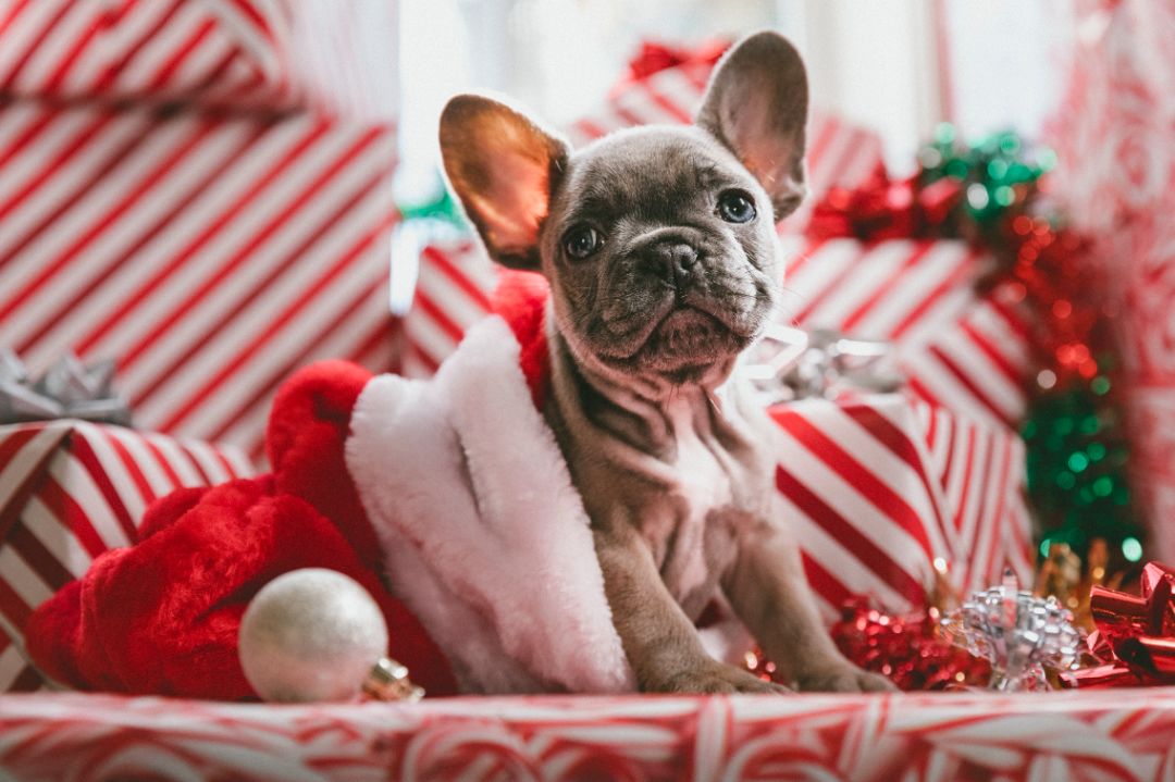 圣诞送礼物还是跨年送礼物,圣诞礼物是平安夜送还是圣诞节送