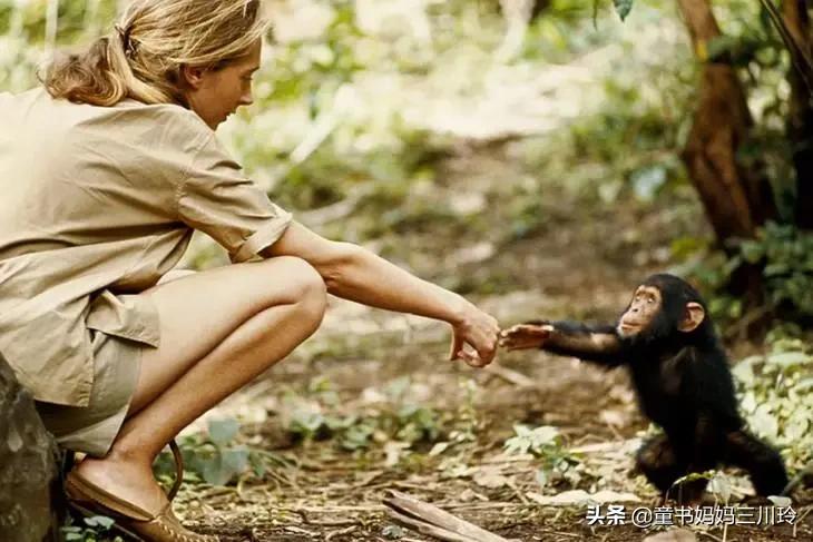 如何圆梦、创造奇迹？看了这6部高分人物传记纪录片，娃有了答案