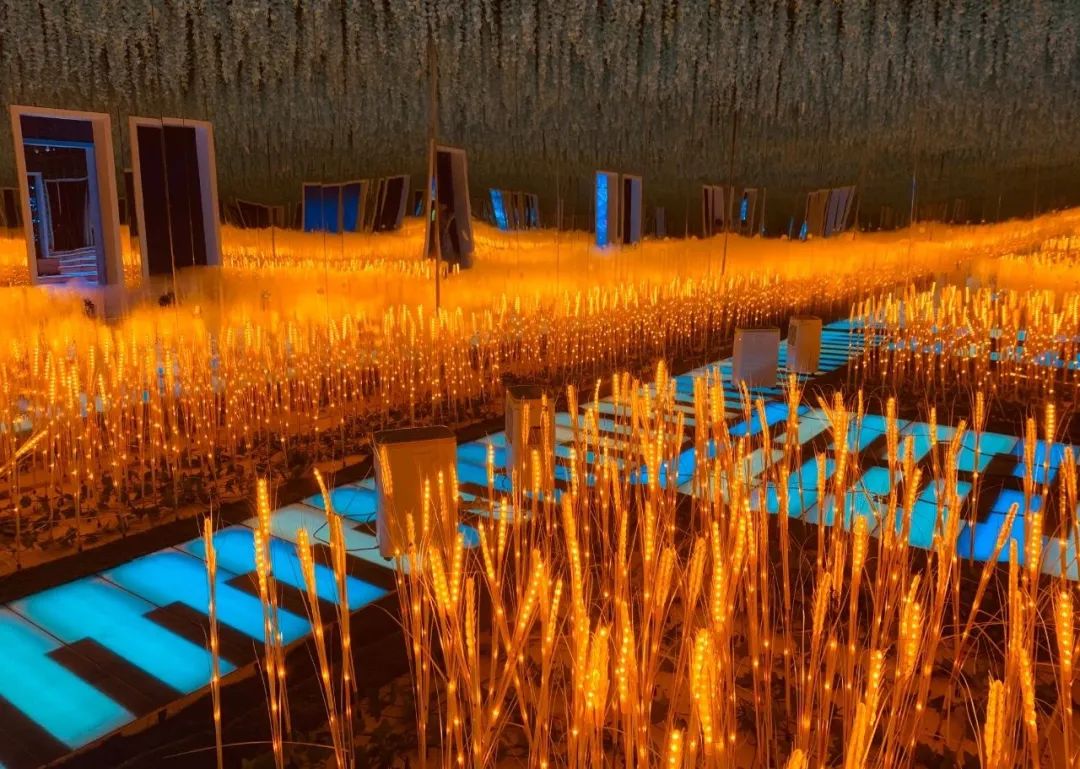 100个梦幻乐园,超2000平的梦幻王国游乐场