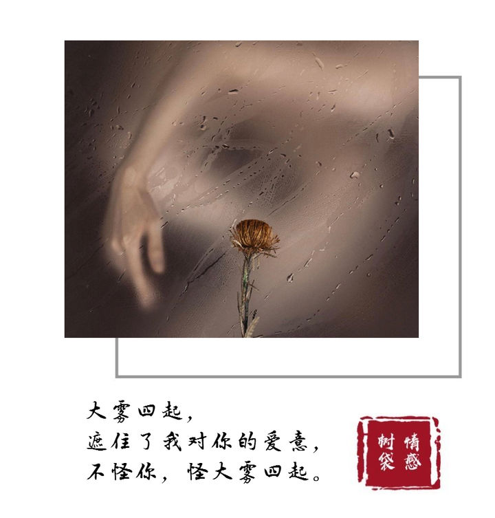 我还是忘不了我的初恋怎么办,我还是忘不了前任怎么回