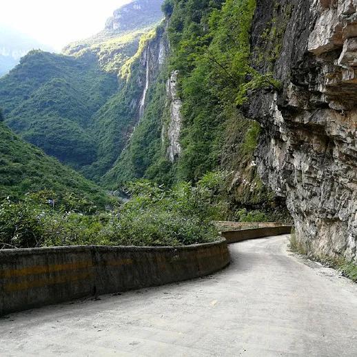 水库鱼一百斤,水库鱼100斤