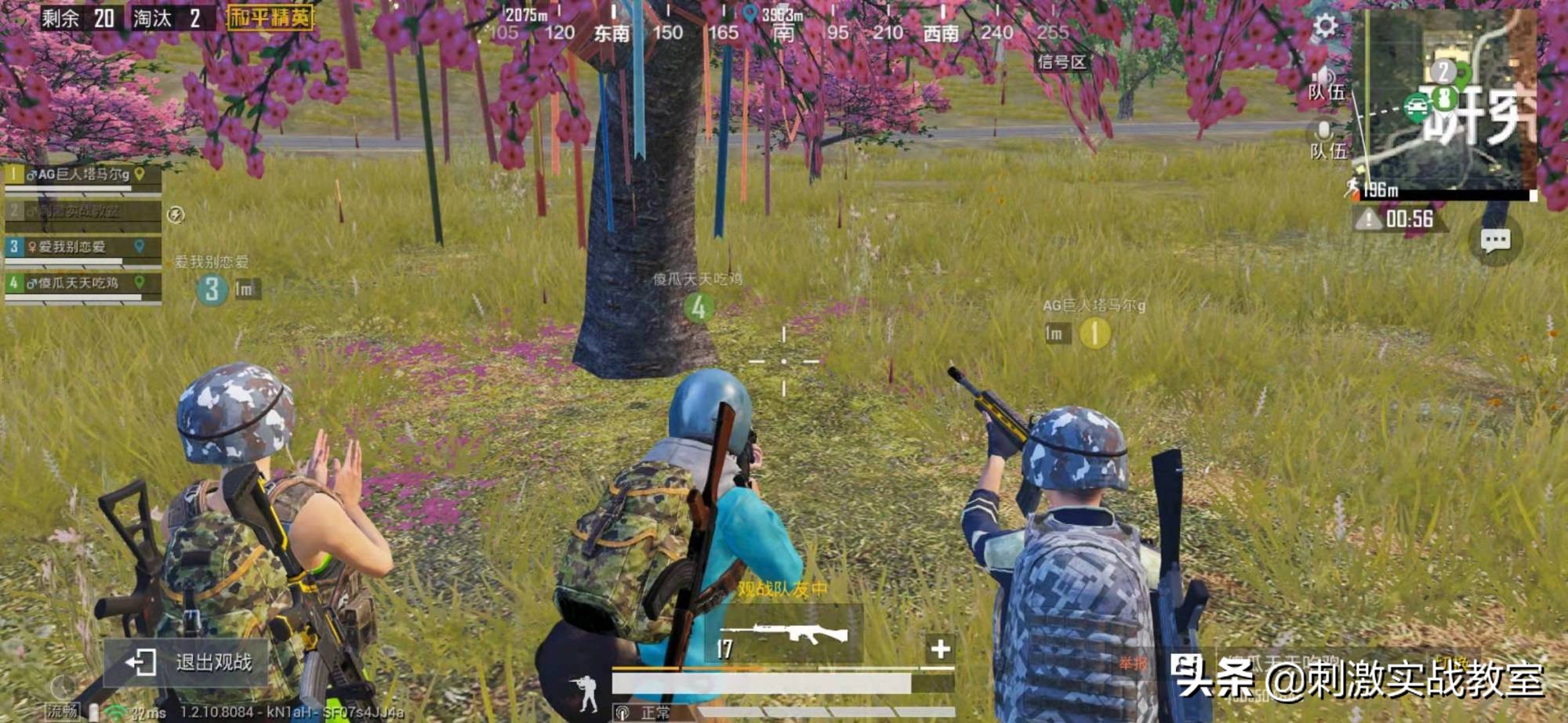 和平精英击倒和淘汰信息能调整吗,和平精英当队友被击倒该怎么救