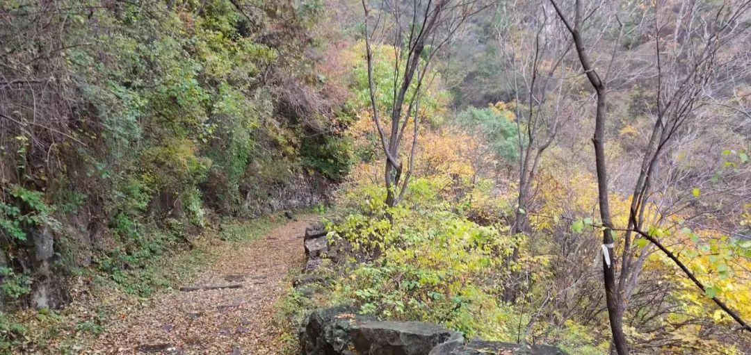 秋香四溢的白陉古道，诗意正浓