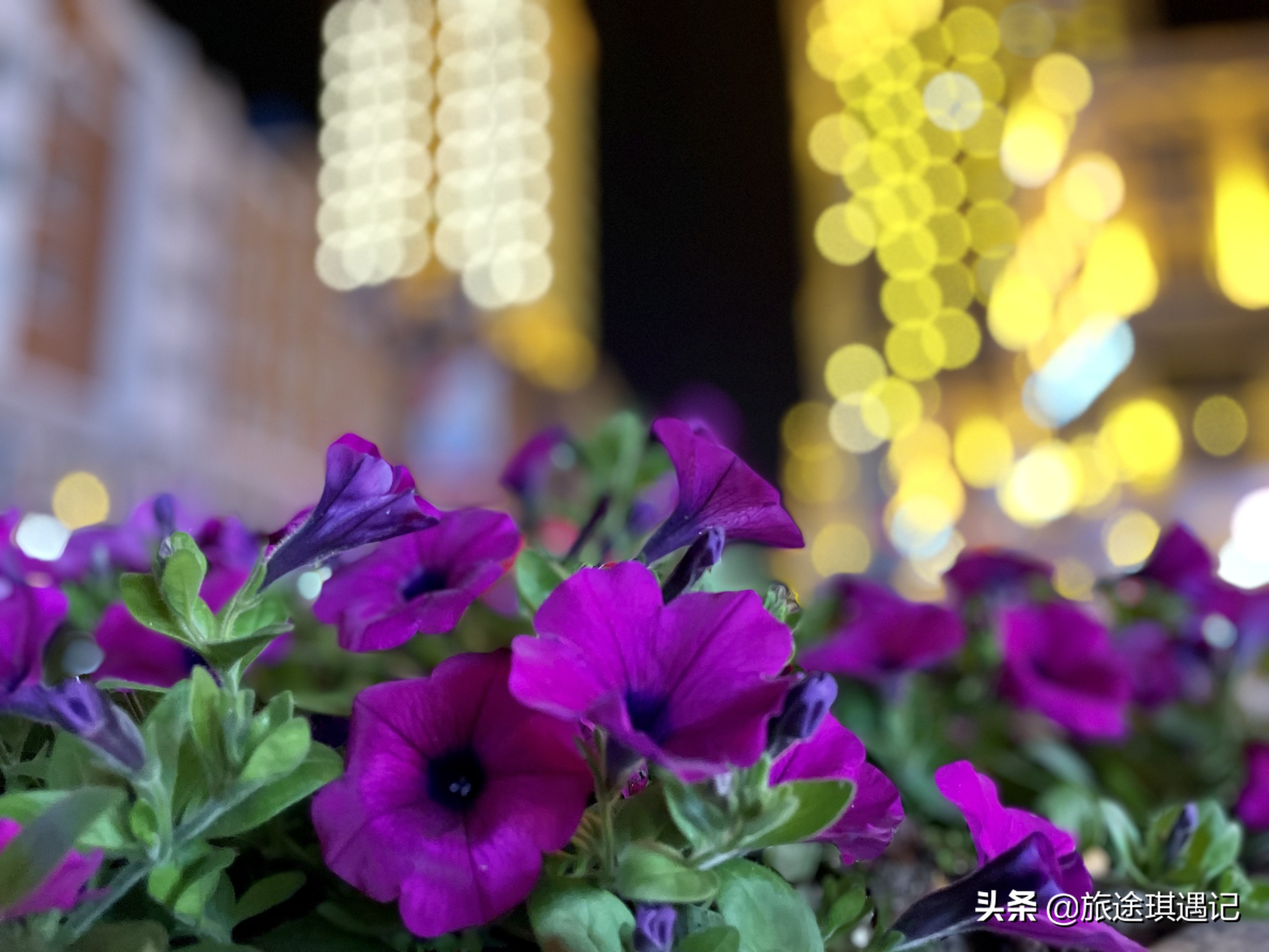 满洲里必去俄罗斯餐厅,满洲里中苏金街夜景