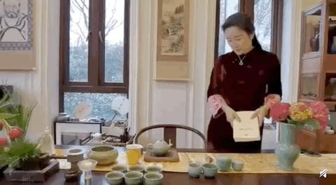 女子高中校长张桂梅感动中国,评价女子学校校长张桂梅事迹