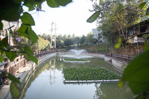 老人贫血需要怎么治疗,老人贫血该怎么调养