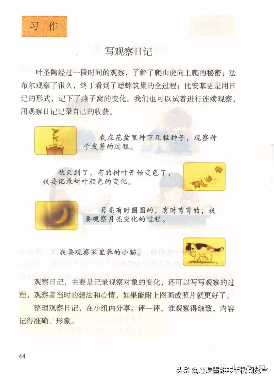 广西小学四年级上册语文课本,四年级的语文上册课本全部