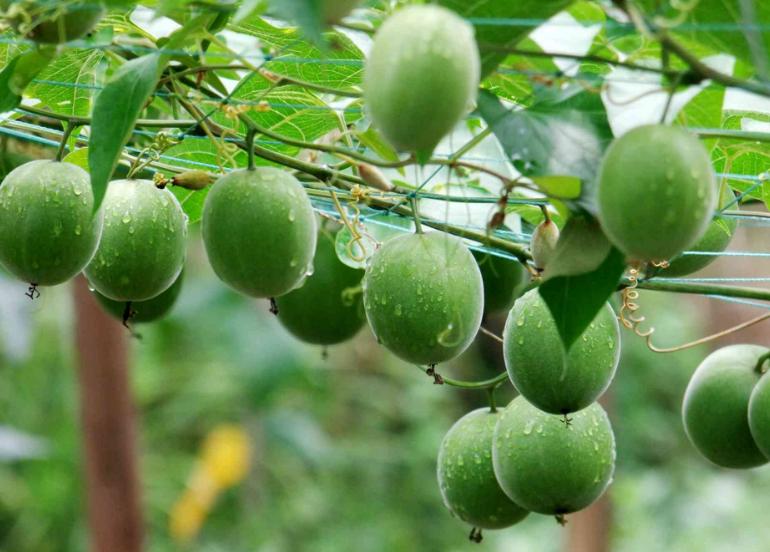 生病千万别吃它后果不堪假想,生病了千万别吃什么