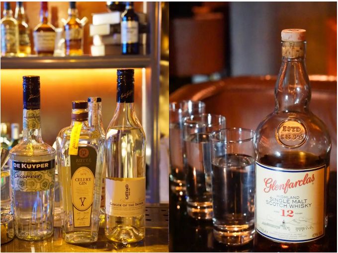 单身狗保护条例,单身狗防伤害地图指南