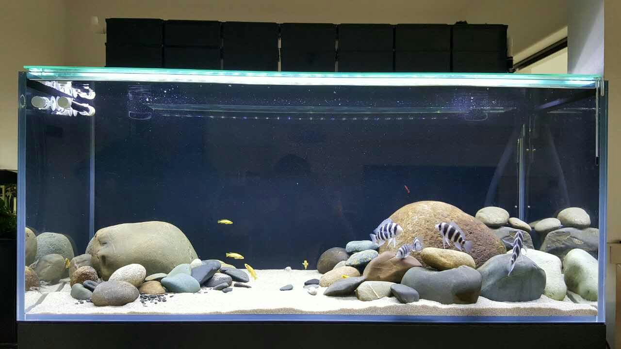 过滤的方法和关注事项,老生常谈的说说