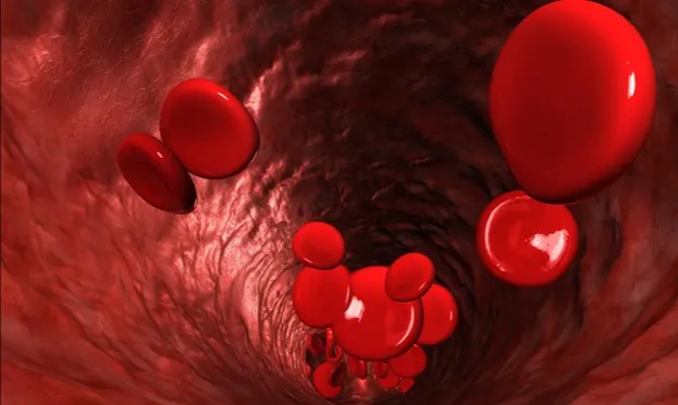 生殖器疱疹传染概率,生殖器疱疹病毒影响生育