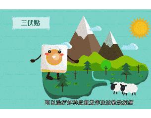 省中医院的三伏贴,中医三伏贴冬病夏治