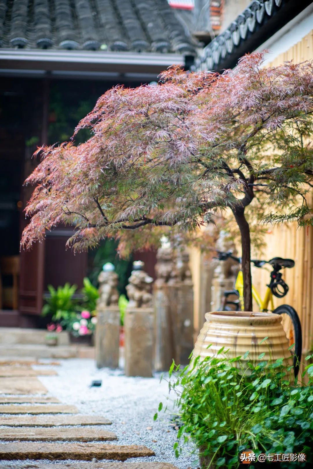 七工匠75mmf1.25夜神人像镜头,七工匠75mmf1.25参数