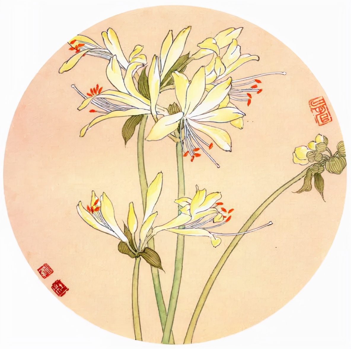 杜曼华花鸟作品欣赏,淡雅空灵杜曼华工笔花鸟作品40幅