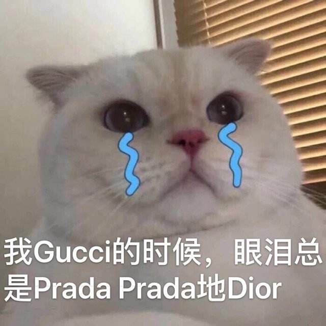 处理猫咪泪痕最好的办法,解决猫咪泪痕