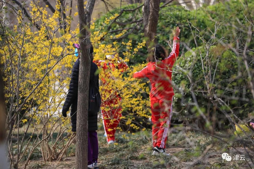 天津东疆港亲海公园今天开放吗,天津将新添一座公园预计开放时间