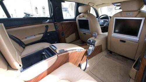 大猩猩蓝旗亚,蓝旗亚大猩猩