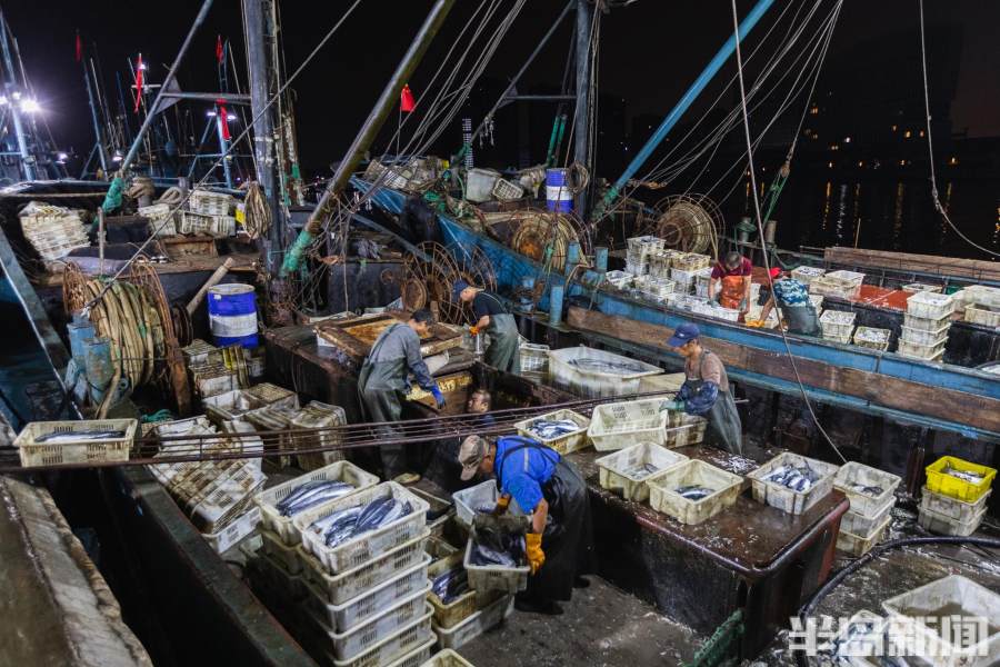 一线视察直击现场,一线记者直击