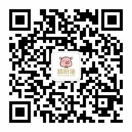 如何看lamy钢笔属于哪个系列,lamy钢笔哪些物美价廉