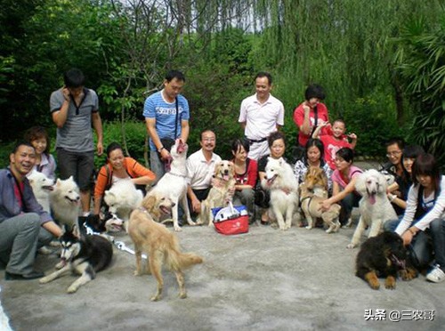 农村最缺什么生意项目可以做,农村做什么生意赚钱创业项目