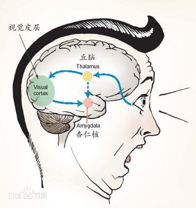 了解情绪的源头，你才能真正懂人性，才能真正调动智慧