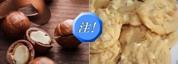 对猫有毒的植物气味也不能闻吗,对猫有毒的食物