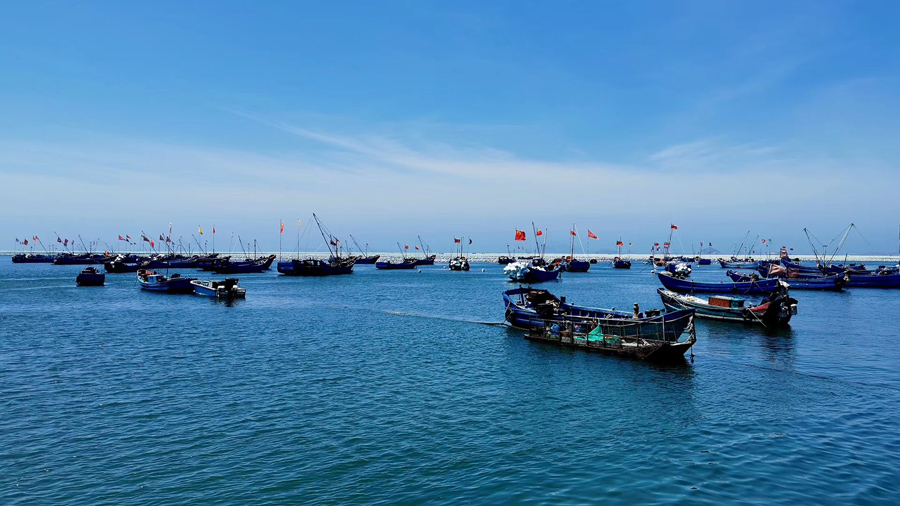 枸杞岛海岛旅游,美丽的枸杞岛之旅