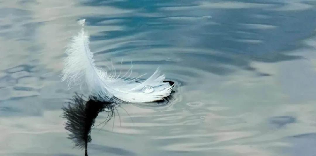 物理八年级下册力学讲解,八年级下册物理力学中的功