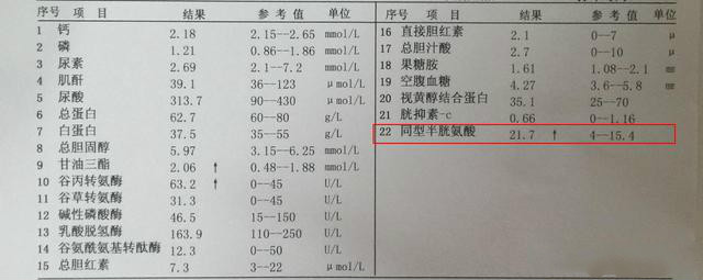 脑梗同型半胱氨酸多高需要吃叶酸 (高血压同型半胱氨酸多高要吃叶酸)
