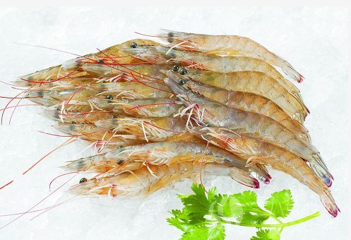 海鲜如何保鲜运输,运输海鲜怎么保持鲜活