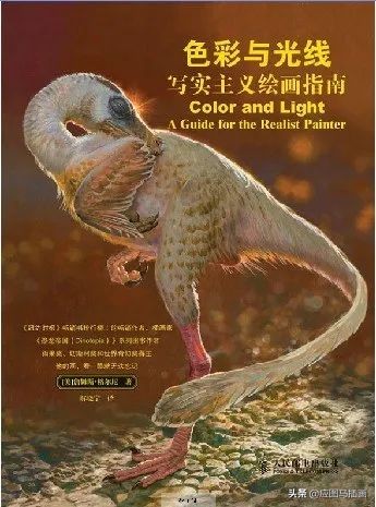 插画师入门必备,画画初学者临摹插画书