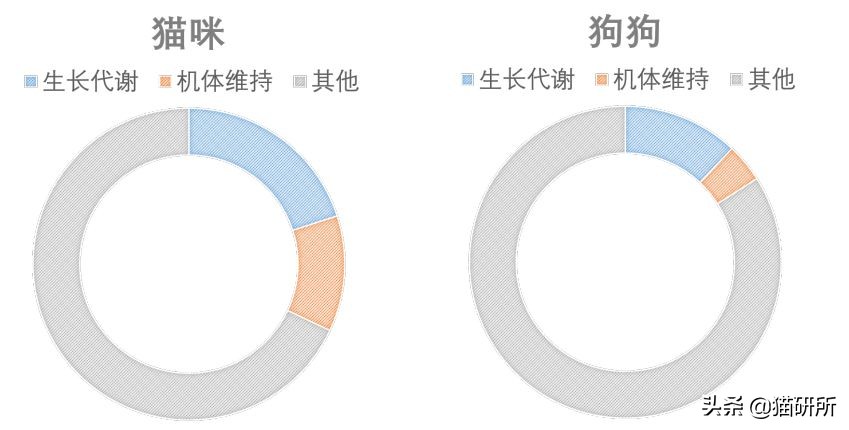 辟谣猫,辟谣猫咪食物