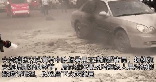 柳絮杨絮导致眼睛过敏鼻子难受,柳絮满天飞过敏流鼻涕