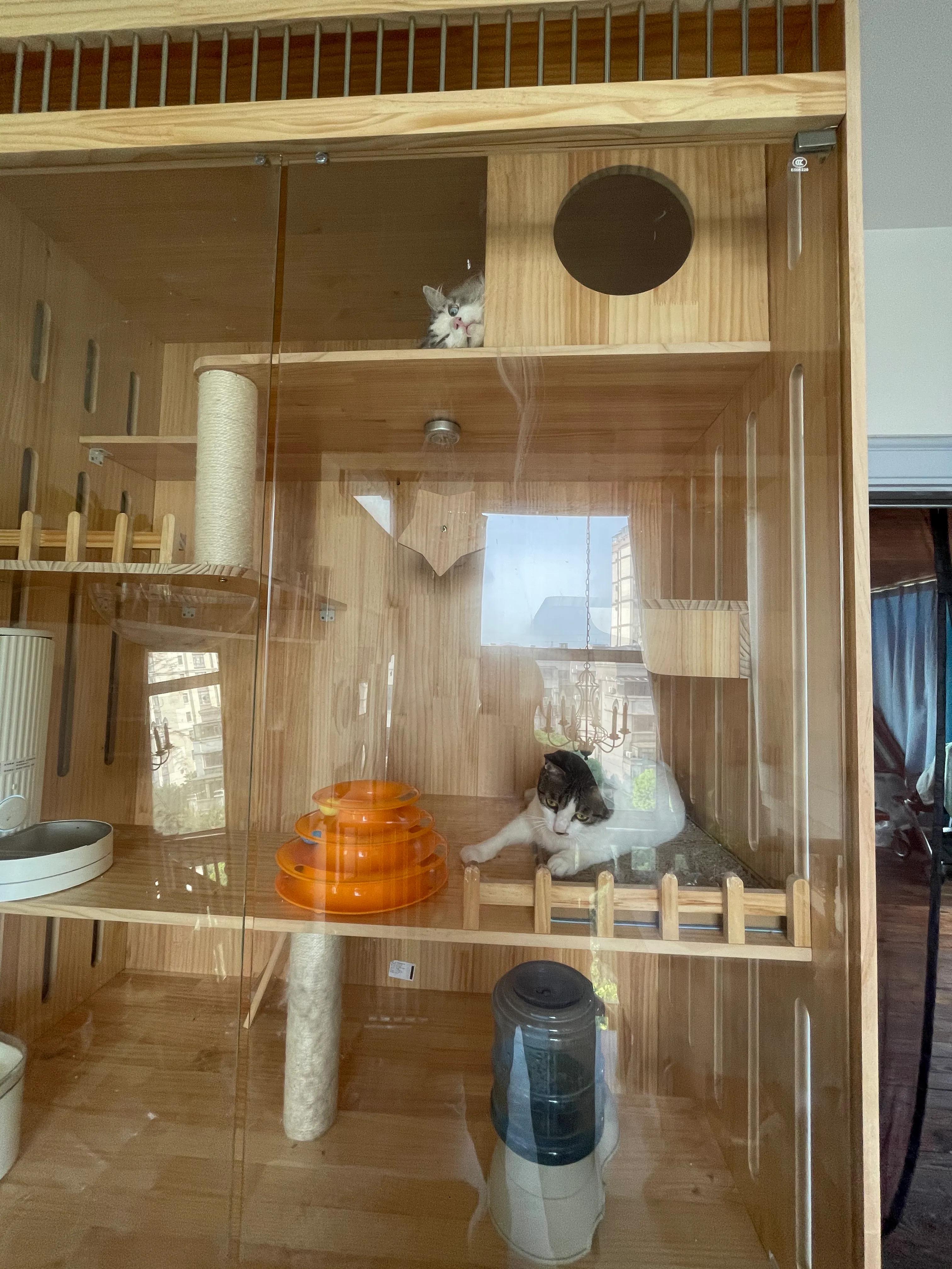 钟点工卫生方面,钟点工打扫卫生做什么