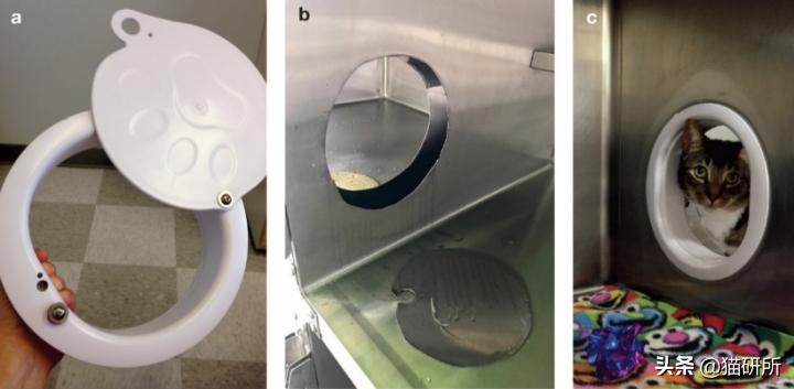 假期外出如何给猫咪找靠谱寄养,怎么找靠谱的猫咪寄养
