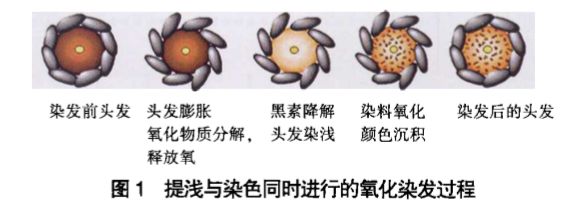 染发剂纯植物纯天然染了要洗头吗,哪种天然染发剂对头发好