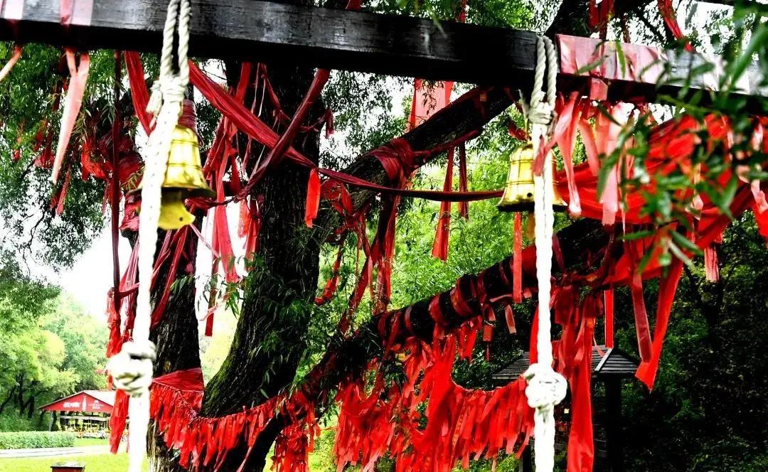 情深缘起重逢,情深缘起下一句