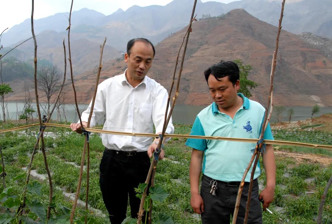 新时代脱贫攻坚取得的伟大成就,脱贫攻坚伟大成就