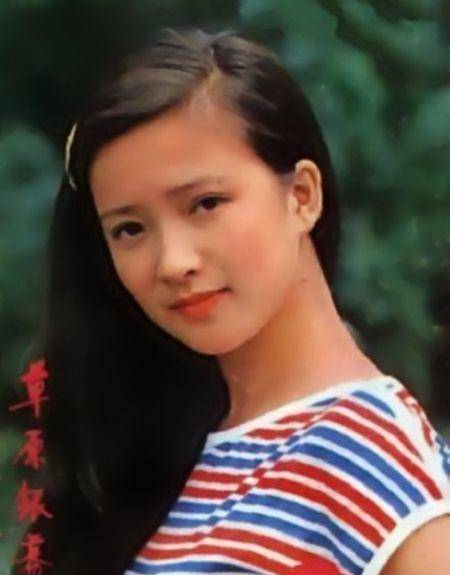 何晴和刘威现状,荒唐的何晴图片