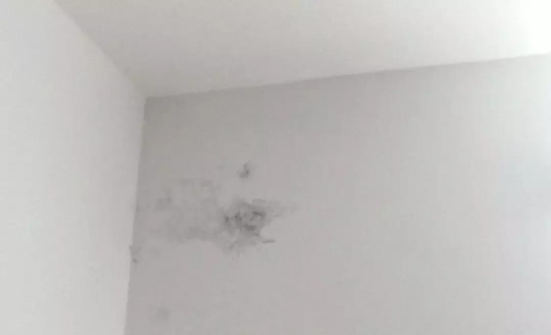 乳胶漆怎么选择甲醛少,乳胶漆甲醛选择标准是什么