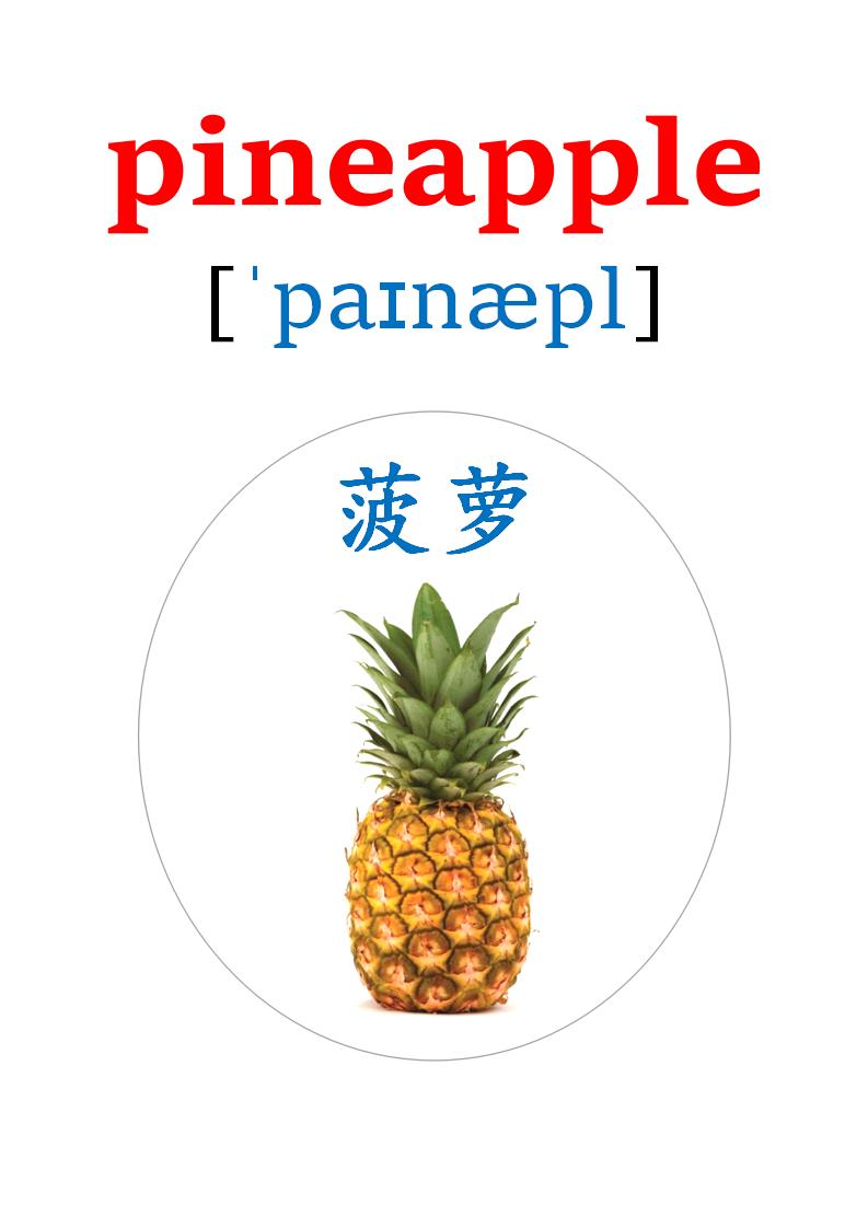 英语卡片20多种水果的英语单词,英语卡片水果种类