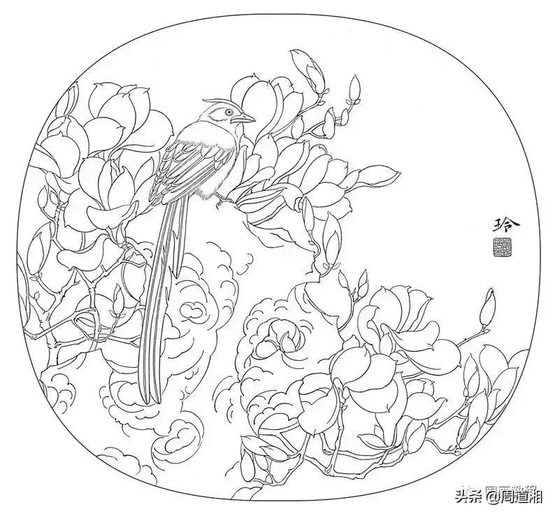 宋人工笔花鸟临摹步骤,工笔花鸟玉兰的画法