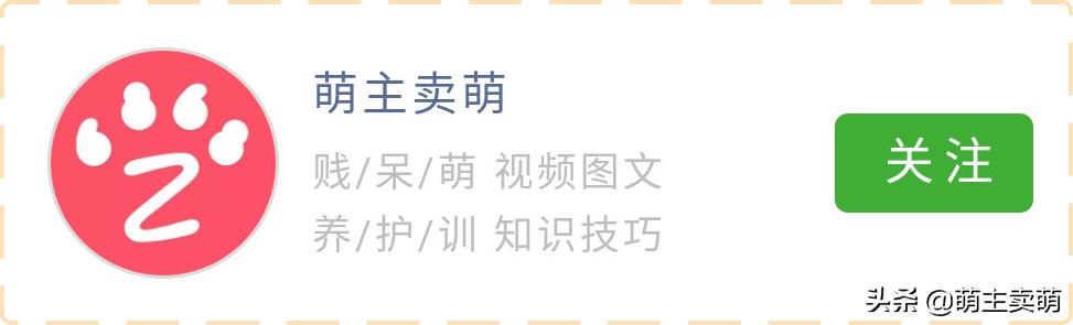 狗脚丫子烂了用什么药,狗脚丫子肿了怎么治疗