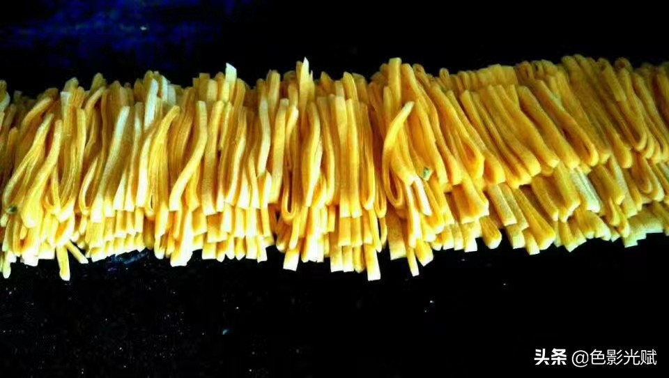 螺蛳壳里的道场推荐语,螺蛳壳里的道场难度