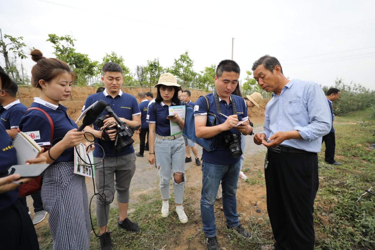 陕西扶风樱桃映红致富路,图说卢氏深山农户走上甜蜜致富路