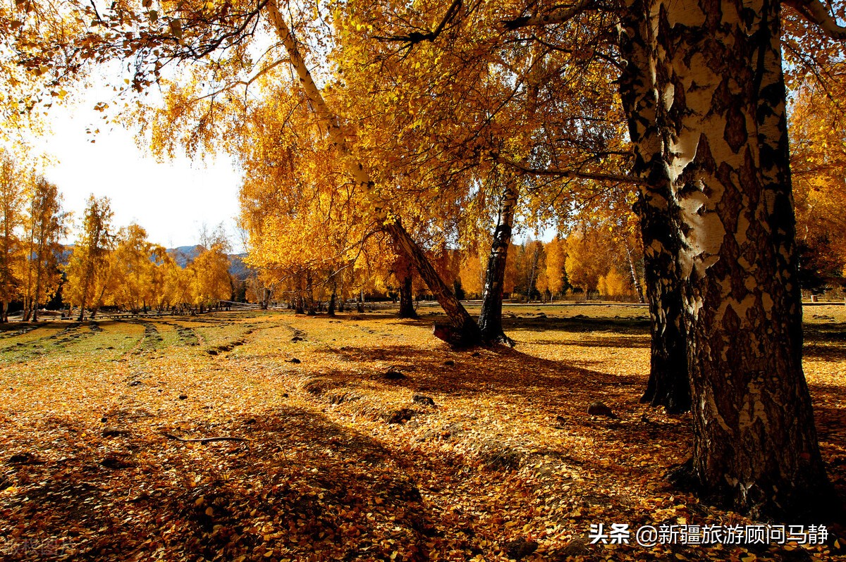 南京禄口机场疫情波及多地乌市：江苏、沈阳、中山来乌人员需隔离