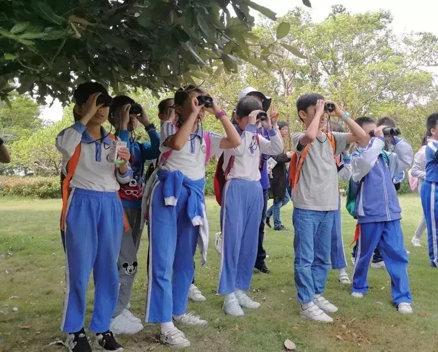 凤凰学校招生简章,凤凰学校招生公告