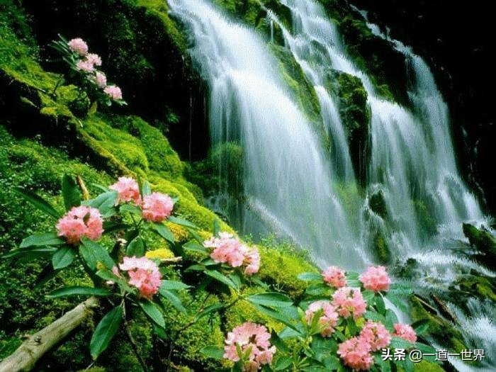 无依无靠才会使人内心强大吧,人在逆境所能依靠只有自己