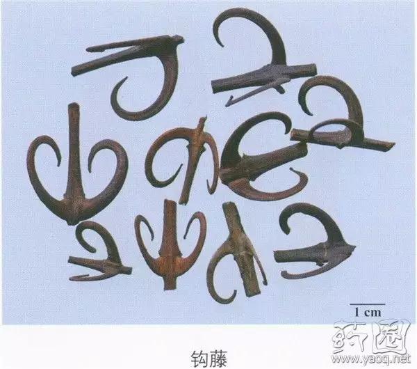 看红楼梦要关注什么,看红楼梦需要知道哪些知识点