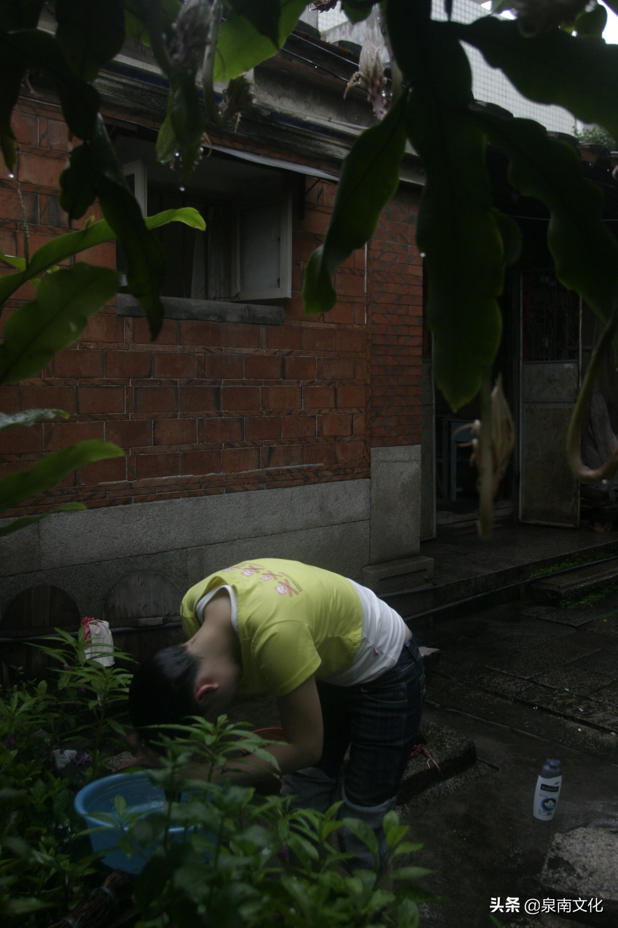 泉州中山路两侧巷道踏勘日记（三）：奎霞巷、会通巷、通政巷等